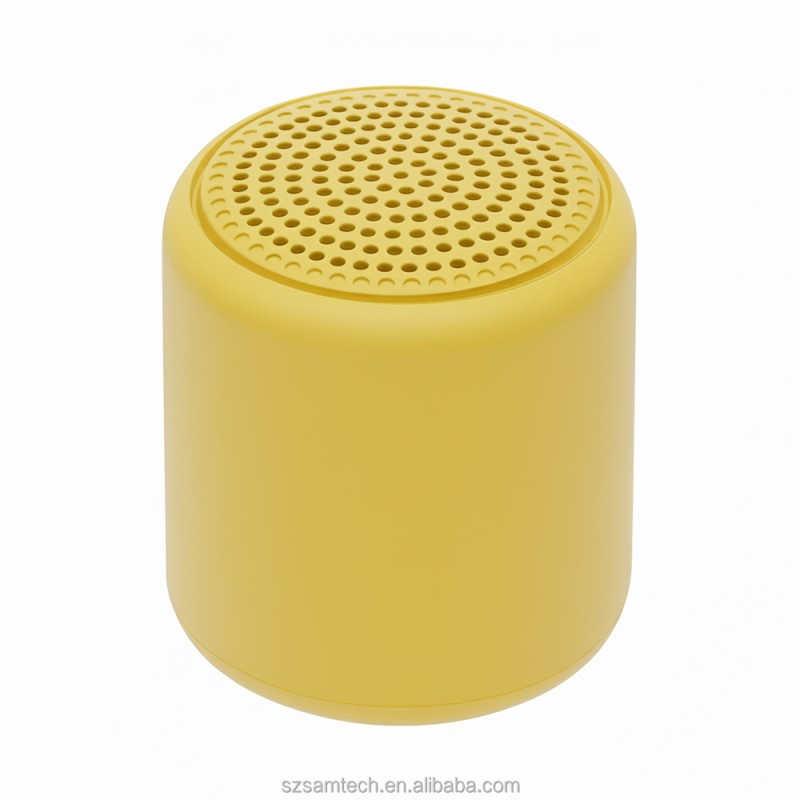 Portable Speaker Factory - Small Wireless Active Speaker