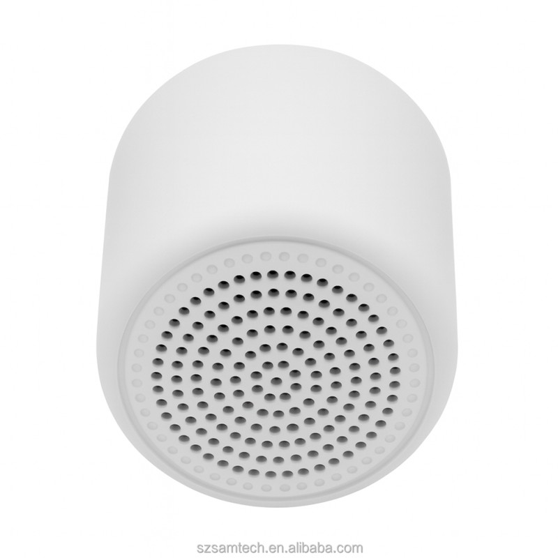 Portable Speaker Factory - TWS 360-degree Omnidirectional Sound