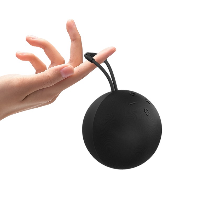 Bluetooth Speaker Factory - Alexa Echo Dot Portable Speakers