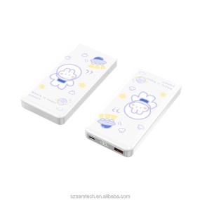 Power Bank Factory - 22.5W 10000mAh Laptop Portable Charger