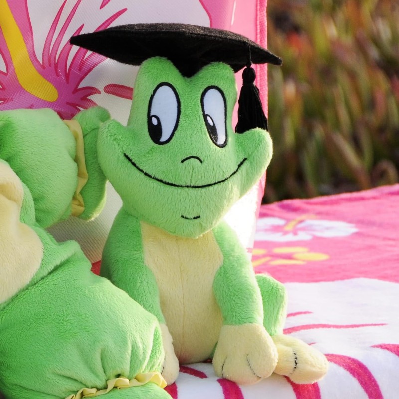Stuffed Animal Toys Factory - Custom Frog PP Cotton