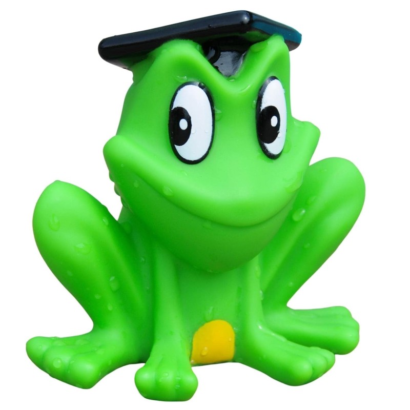 Rubber Frogs Toys Manufacturer - Squeaky Bathing Toys
