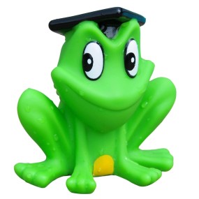 Frog Toys Factory - Wholesale Rubber Squeaky