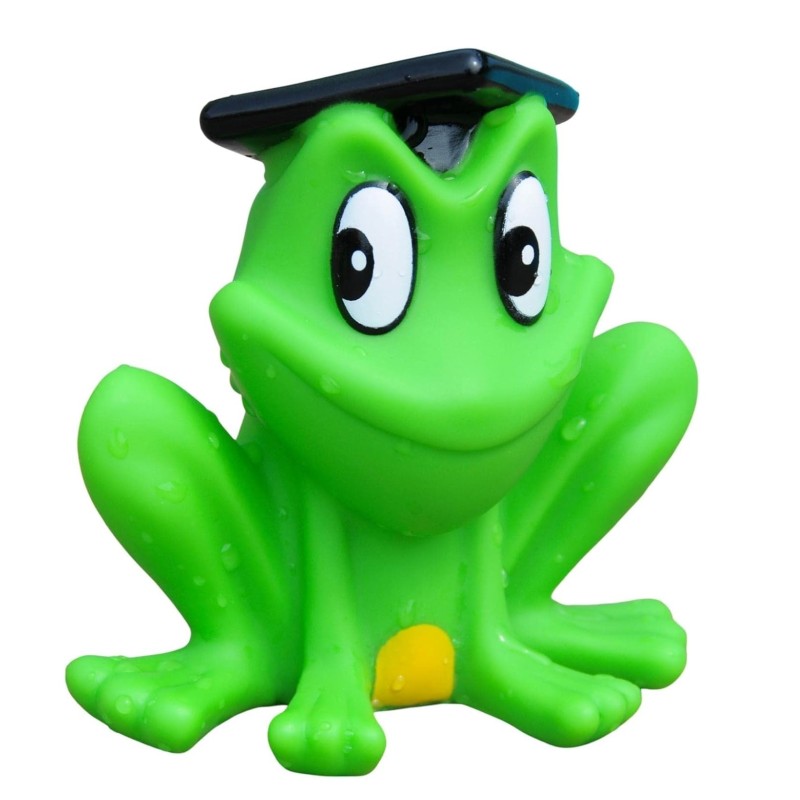 Frog Bath Toys Supplier - OEM Logo Printed