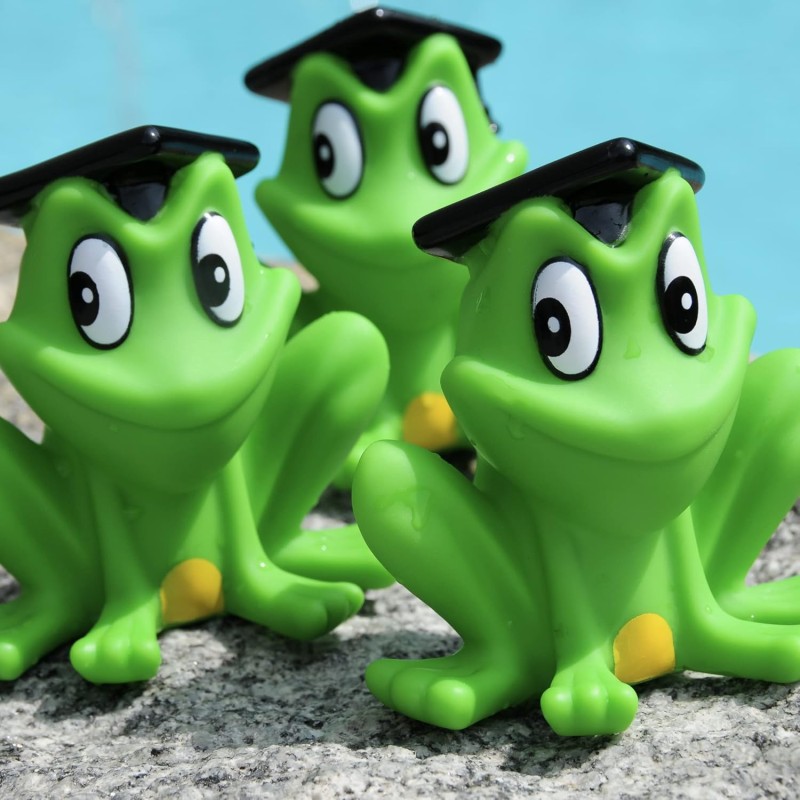Frog Bath Toys Supplier - OEM Logo Printed