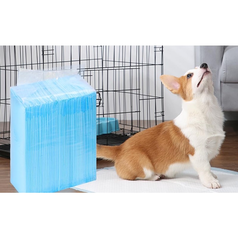 Dog Urine Pads Factory - Wholesale Extra-large Eco Friendly