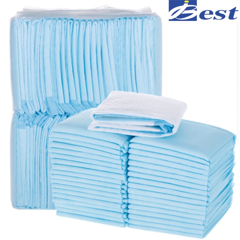 Pet Training Pads Manufacturer - Czech Slovakia BV Certified