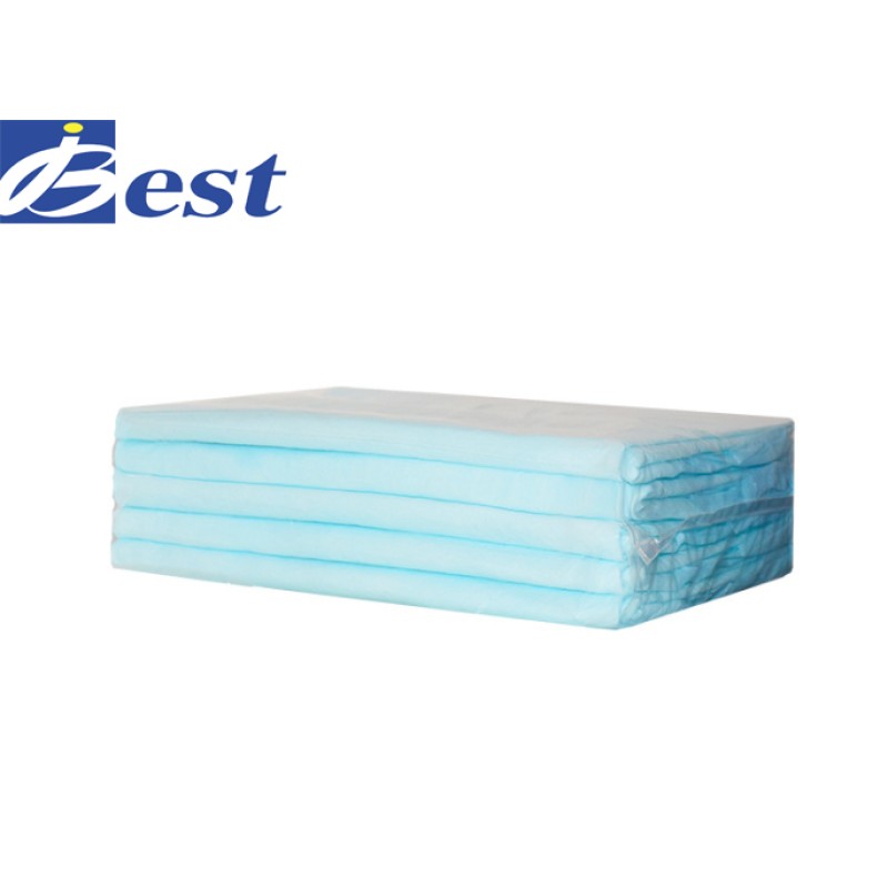 Pet Training Pads Manufacturer - Czech Slovakia BV Certified