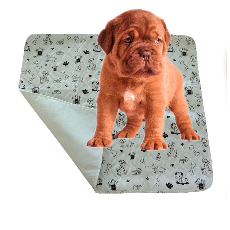 Adult Diaper Supplier - Free Sample Reusable Training