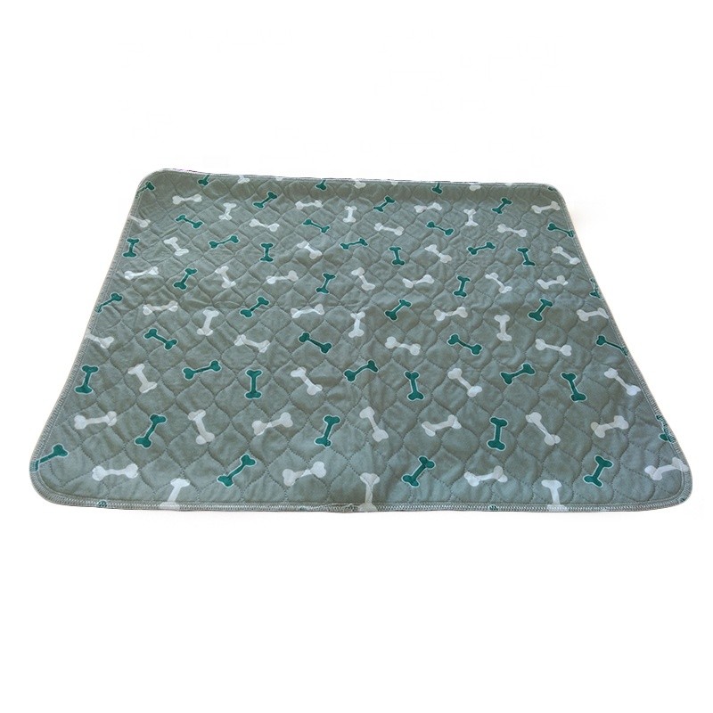 Training Urine Pads Factory - High Quality Non-Slip Leak-Proof