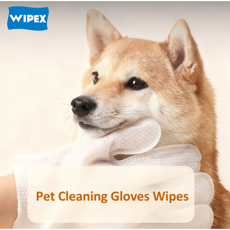 Pet Gloves Supplier - OEM Disposable Grooming Wipes