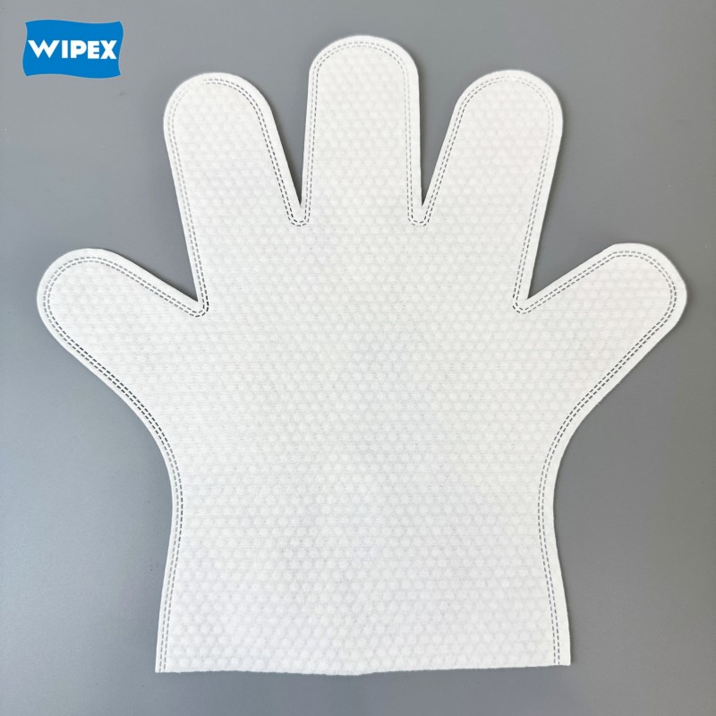 Pet Gloves Supplier - OEM Disposable Grooming Wipes