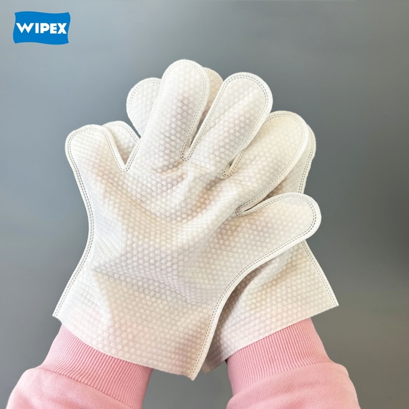 Pet Gloves Supplier - OEM Disposable Grooming Wipes