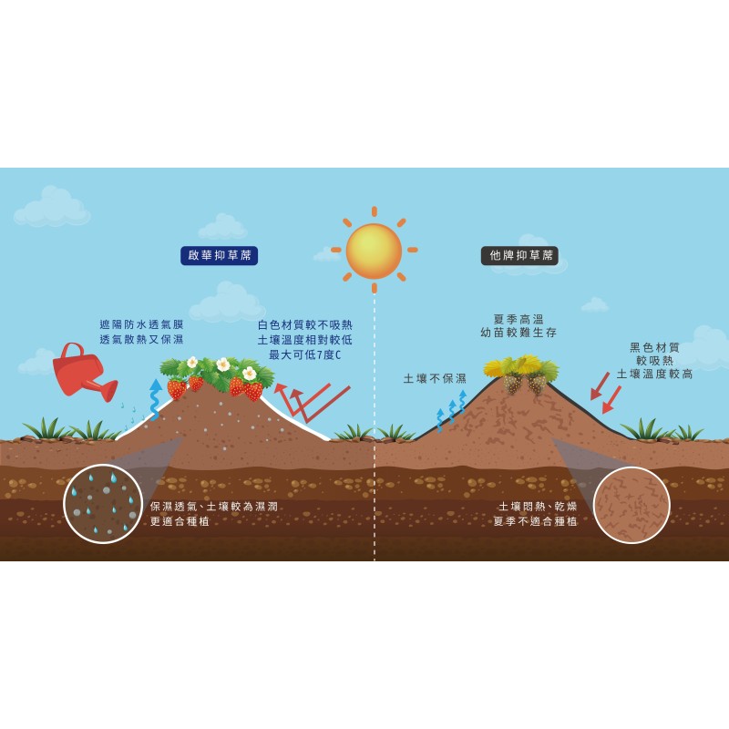 Waterproof Film Factory - PE Breathable Membrane