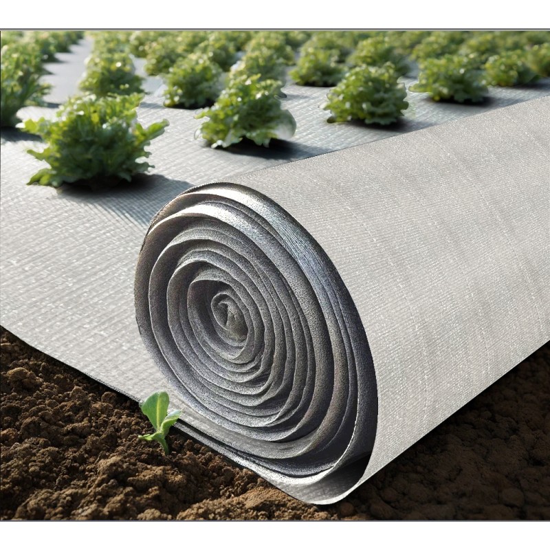 Sanitary Fabric Manufacturer - Napkin Back Sheet