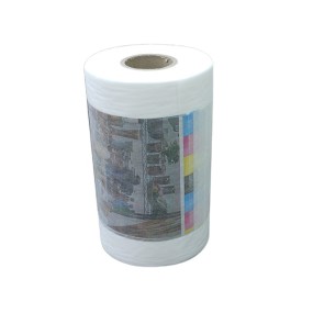 Adhesive Film Factory - Non-Filler PP Casting