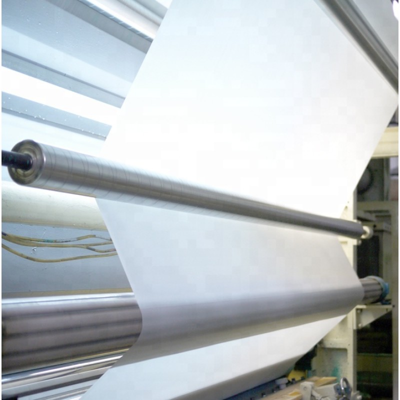 Disposable Product Factory - Hygienic PP Film Roll