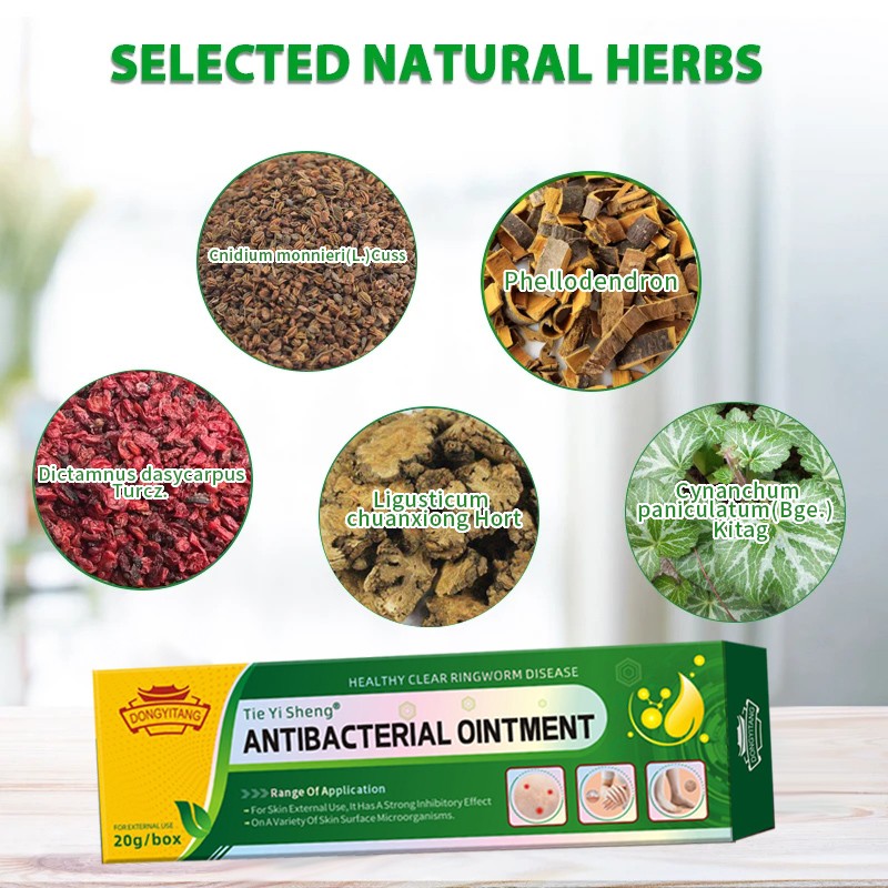 High Quality Pruritus Itching Skin Psoriasis Dermatitis Eczematoin Ointment