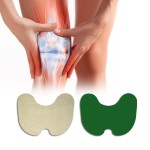 Wormwood Pain Relief Patch