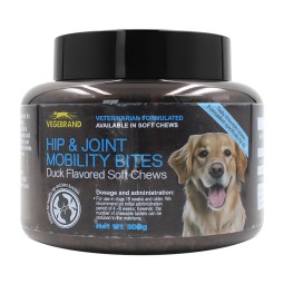 Pet Supplements for Dogs  Cats with Multivitamin Omega Fish Oil Skin  Coat Health Immunity Support for Dog