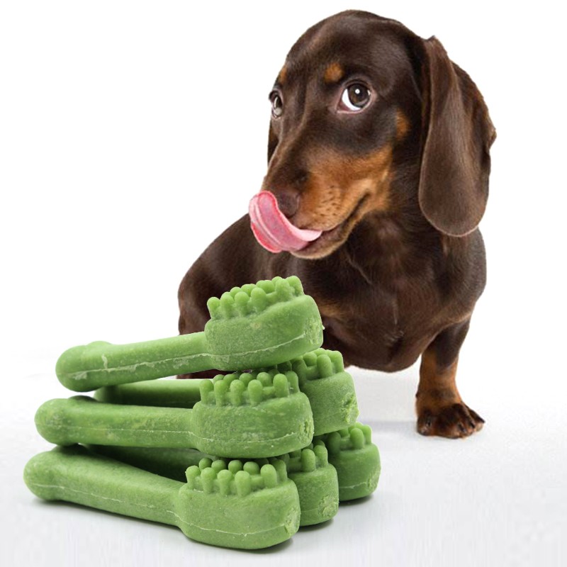 Premium Pet Treats Dog Toothbrush Dental Bone Treats Green Tea Flavor Dog Rewards Snack Factory Offer