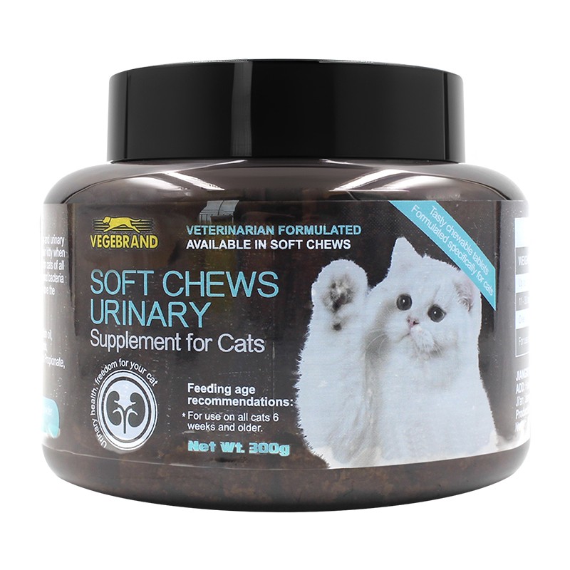 Pet Supplements for Dogs  Cats with Multivitamin Omega Fish Oil Skin  Coat Health Immunity Support for Dog