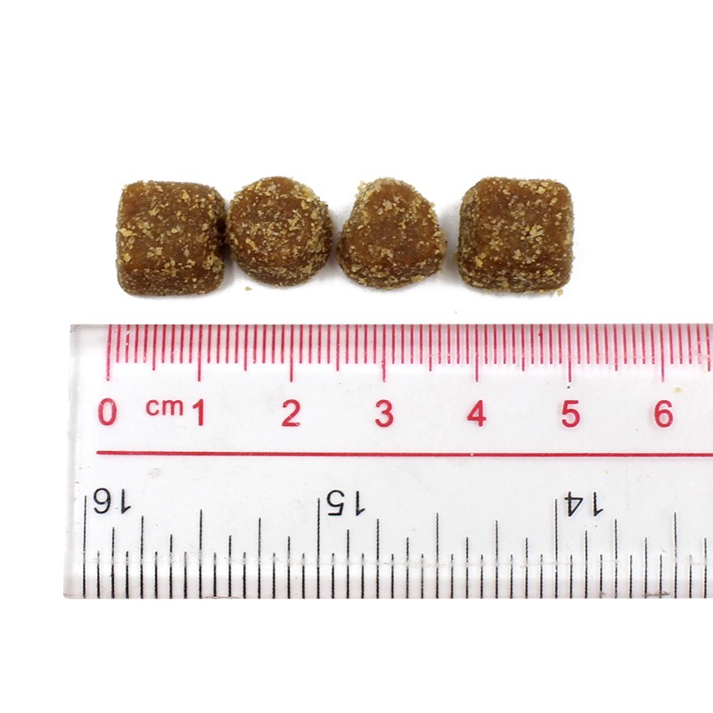 Probiotics Dogs Soft Chews Supports Gut Health Digestive Balance Allergy Relief Itchy Skin Relief Pet Nutritional Supplements