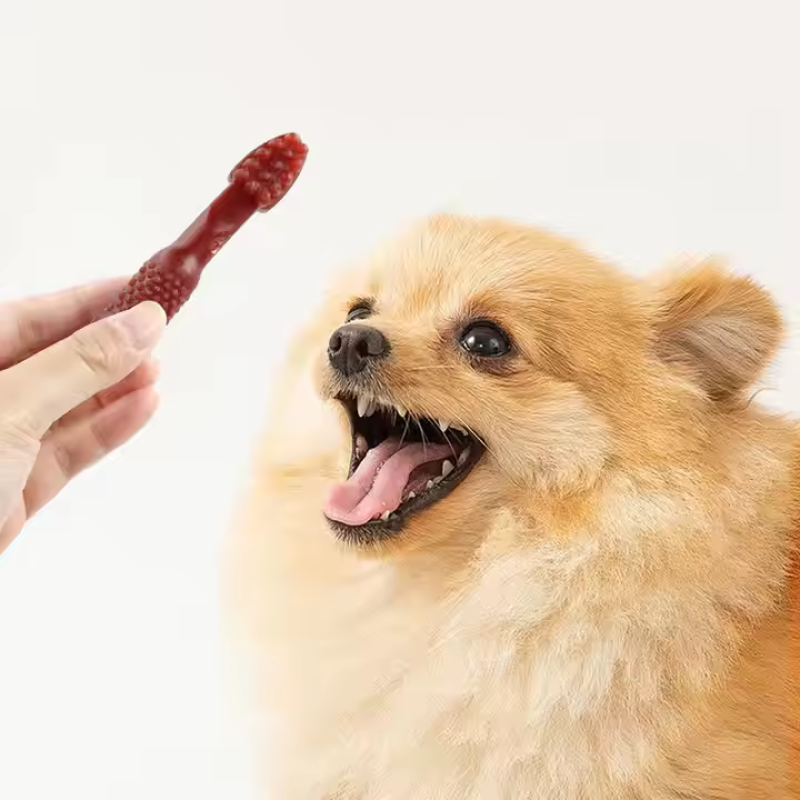 Pet Supplies Dog Dental Treats Dog Snacks Manufacturer Dental Care Dog Treats Beef Flavor Teeth Cleaning Bone