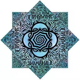 Luminous Flow Star Manufacturer - Durable Vibrant Patterns