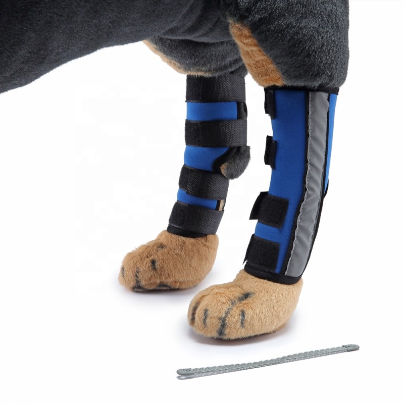 Dog Knee Brace Supplier - Breathable Injury Recover