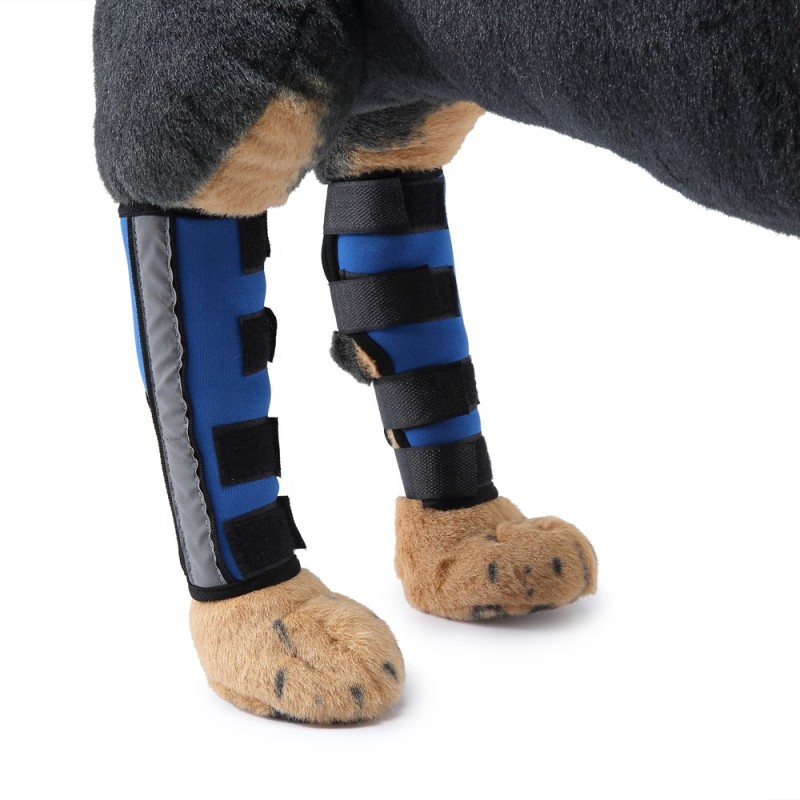 Dog Knee Brace Supplier - Breathable Injury Recover