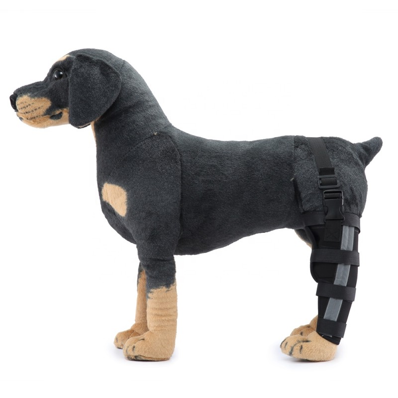 Dog Brace Supplier - High Quality Comfortable Light