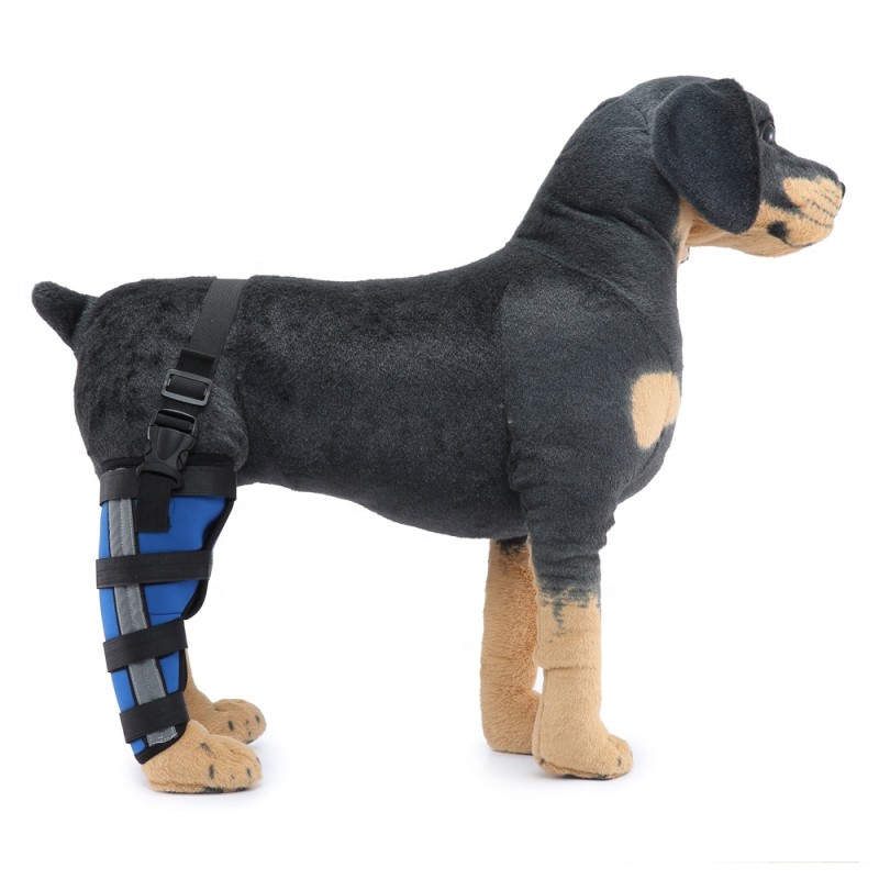 Dog Brace Supplier - High Quality Comfortable Light