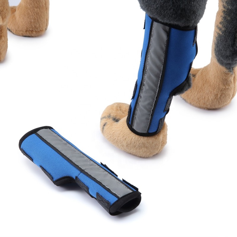 Dog Knee Brace Supplier - Breathable Injury Recover