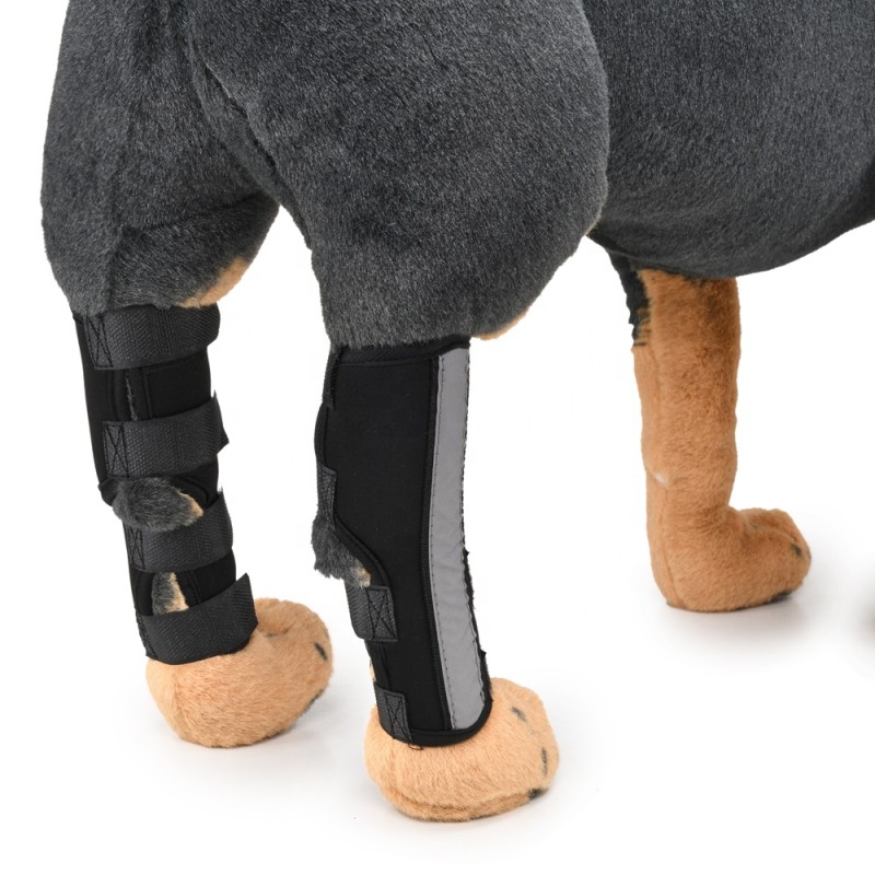 Dog Braces Factory - OEM Adjustable Canine