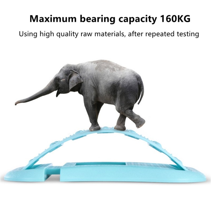 Back Stretcher Factory - Hot Selling Gym Sport