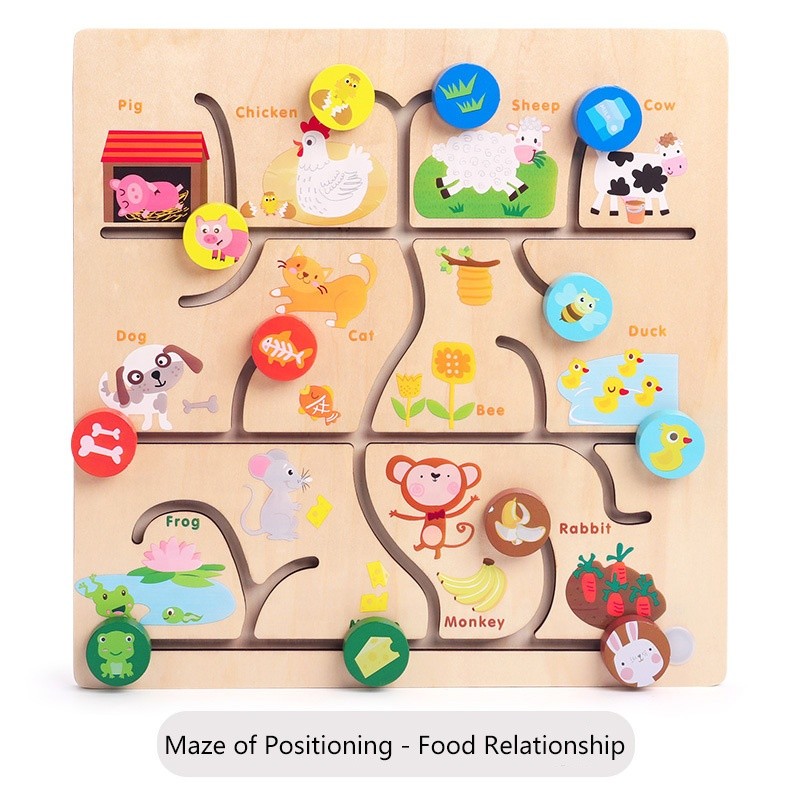 Puzzle Toy Manufacturer - New Style Walking Maze