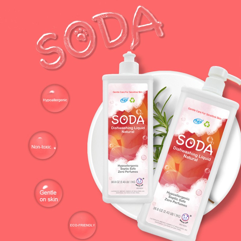 Eco-friendly House Use Organic Dish Soapdish SODA Dishwashing Detergent Liquid