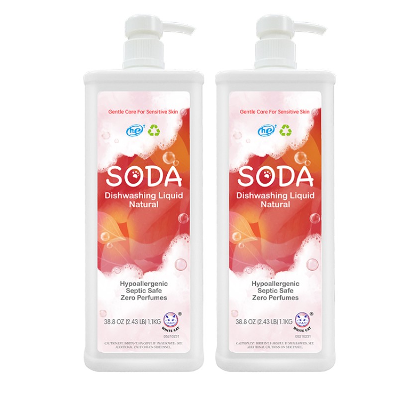 Eco-friendly House Use Organic Dish Soapdish SODA Dishwashing Detergent Liquid