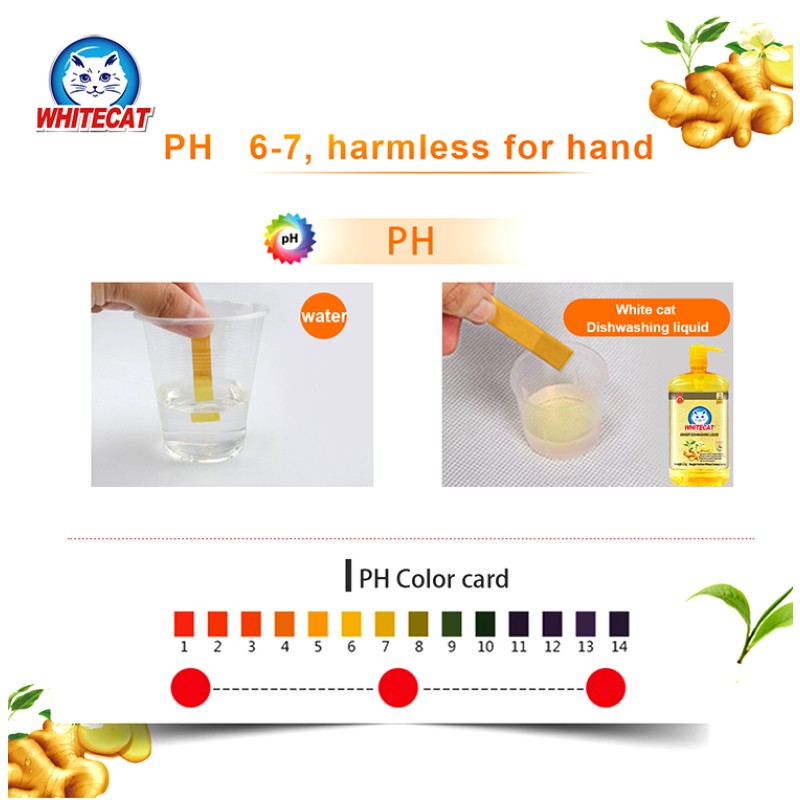 OEM Designed Label Dish Soap Liquid Effective House Cleaning Dishwashing Liquid in Bulk