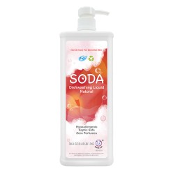 Eco-friendly House Use Organic Dish Soapdish SODA Dishwashing Detergent Liquid