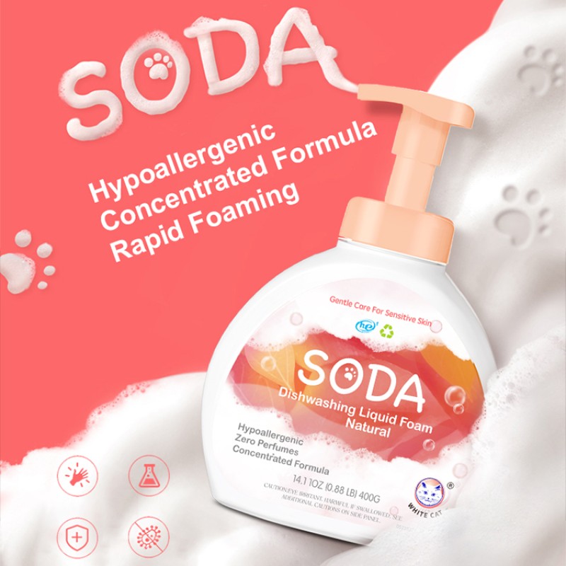 OEM ODM Brand Name Household Cleaning Foaming Eco Dishwashing Liquid for Dish Cleaning