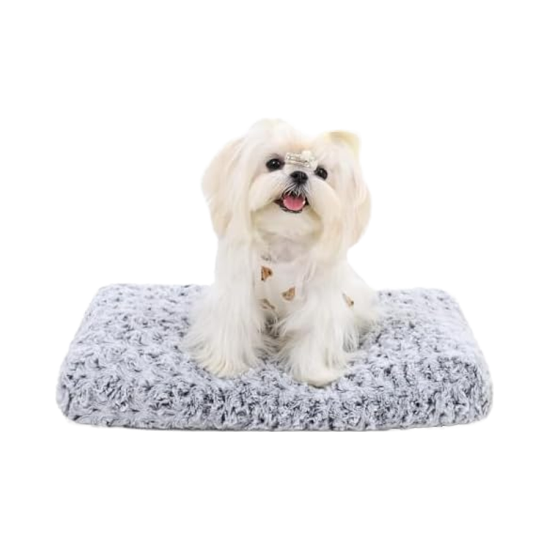 Chew Toy Supplier - Squeaky Plush Chicken