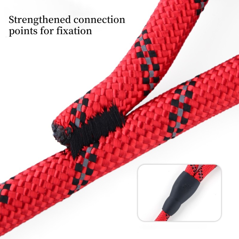 Dog Leash Factory - Nylon D-Ring Walking