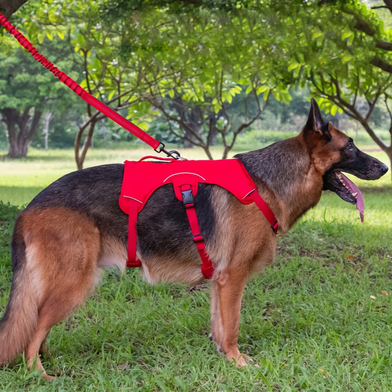 Reflective Leash Manufacturer - Lynxking Heavy Duty