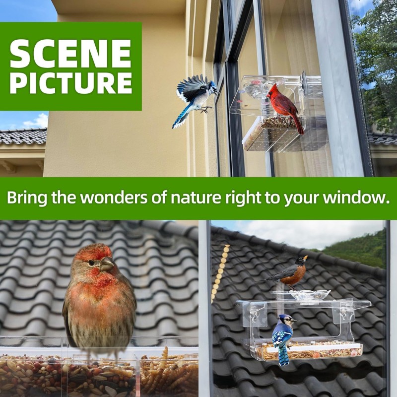 Bird Feeder Factory - Outdoor Clear Self-Adhesive