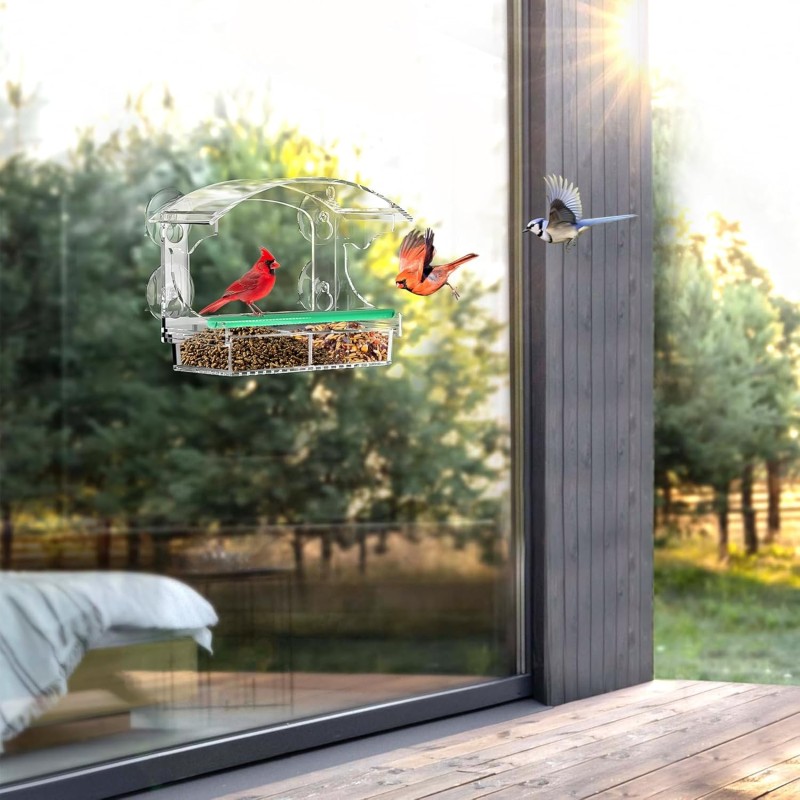 Bird Feeder Manufacturer - Clear Acrylic Detachable