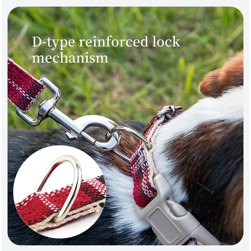 Long Leash Supplier - 50FT Comfortable Padded