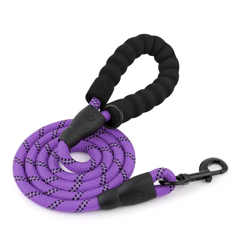 Dog Leash Factory - Nylon D-Ring Walking