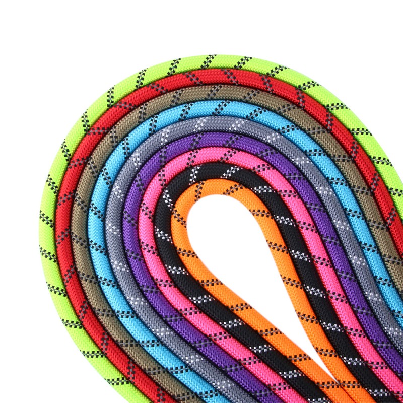 Dog Leash Factory - Nylon D-Ring Walking